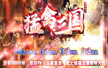 枭雄天下之猛禽三国